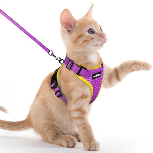 Image of rabbitgoo Cat Harness and Leash Set, Escape Proof Vest, Purple & Yellow