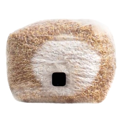 North Spore Organic Sterilized Hydrated Grain Bag w/Self-Healing Injection Port | Sterile Mushroom Spawn Bags w/ 0.2 Micron Filter Patch | USDA Certified Organic (1 Pack) - Thumbnail 2