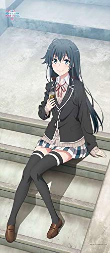 やはり俺の青春ラブコメはまちがっている。完 BIGタペストリー 雪乃 Amazon.co.jp: やはり俺の青春ラブコメはまちがっている。完 【描き