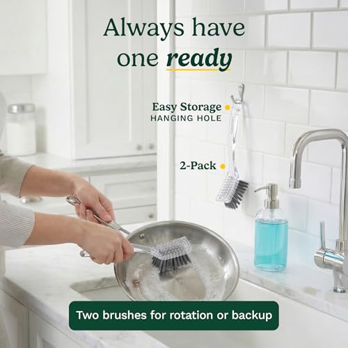 Image of Cuisinart Dish Brush with Handle 2 Pack - Kitchen Scrub Brush for Dishes, Pots & Pans, Non-Scratch Dish Scrubber, Firm Bristles for Sink & Cookware, Comfortable Grip for Everyday Cleaning