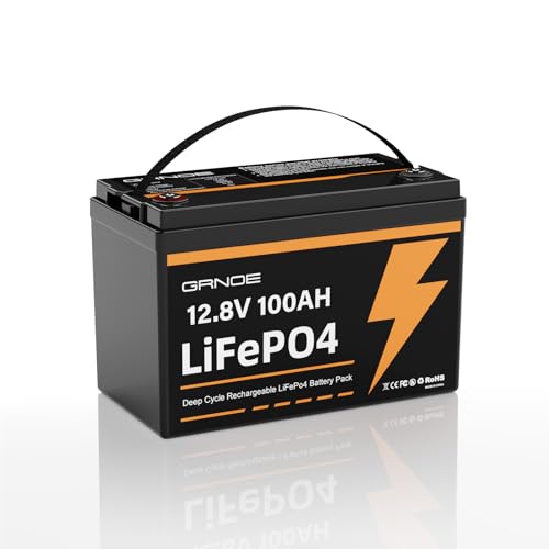12V 100Ah LiFePO4 Battery with 100A BMS, Group 31, 1280Wh