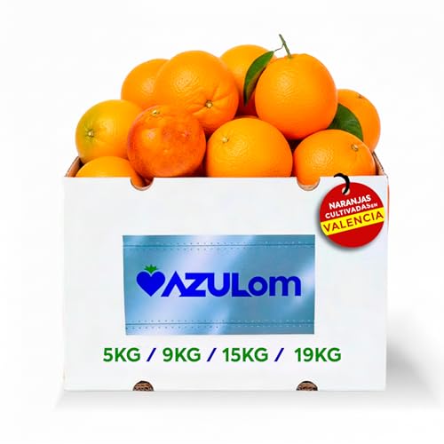 Naranjas de Valéncia directas del árbol recién recolectadas - del árbol a tu mesa sin tratamientos post cosecha - cajas de 5, 9, 15 y 19kg - fruta natural valenciana - naranja de mesa (15KG)