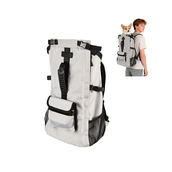Dog Carrier Backpack for Medium Dogs, Hiking Bag for Pets Up to 30 lbs - 4-Layer Safety Design with Thick Padded Straps, Built-in Leash & Breathable Mesh, Suitable for Hiking, Cycling, and Travel