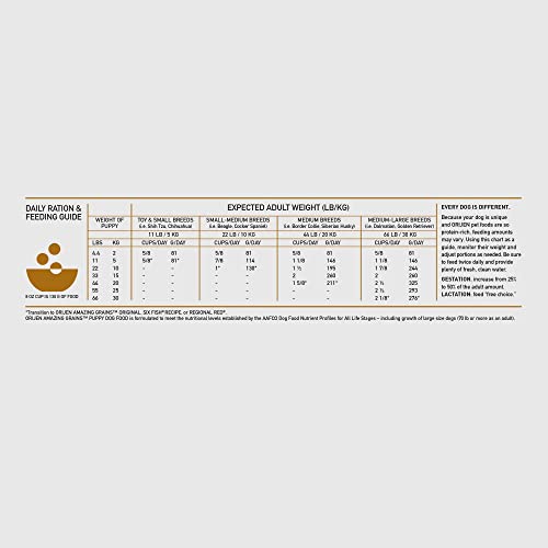 Orijen Amazing Grains Puppy Dry Dog Food, High Protein Dog Food For Puppies, Fresh Or Raw Ingredients, 22.5Lb #TOP6
