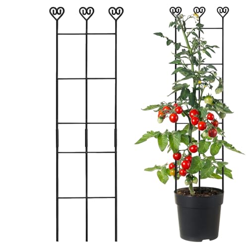 Treillis d'intérieur - en métal Inoxydable - 82,8 cm - pour grimpantes - pour grimpantes - pour Lierre, vignes de Lierre, philodendron Ainsi Que pour Mariage, Balcon, Jardin, intérieur