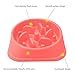 PINJUM Slow Feeder Dog Bowls Fun Interactive Stop Bloat Bowl Pet Non-Slip Drink Water Bowl Square Base Rose Red