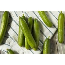 Organic Persian Cucumber Seeds, Non-GMO Heirloom, 100 Boston Pickling Cucumber Seeds for Planting, High Yield & Fast Growing for Indoor/Outdoor Garden, ContainersCucumis sativus