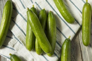 Organic Persian Cucumber Seeds Non-GMO Heirloom 100 Boston Pickling Cucumber Seeds for Planting High Yield & Fast Growing for Indoor/Outdoor Garden Containers(Cucumis sativus)