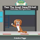 Thor The Great Dane/Pit-bull mixed puppy, finds a good Home.