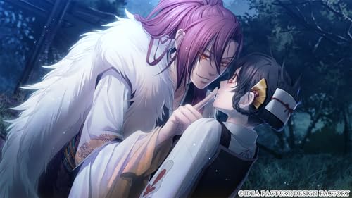 Toki no Kizuna Nintendo Switch solution import sans censure version nippone originale