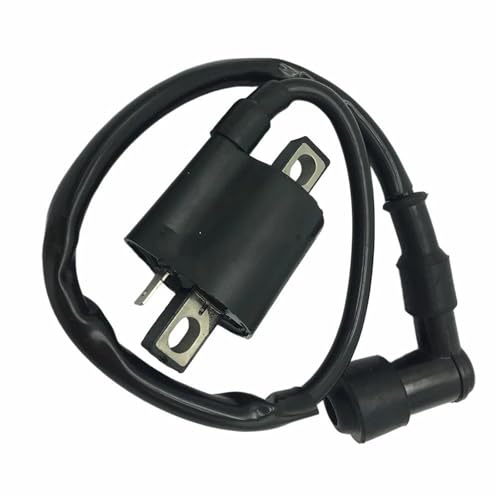 Bobina de encendido Suzuki LT125 y LT185 con aislamiento de alta resistencia