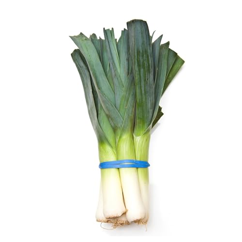 semi di porro biologico - giardino resistenti perenni appartamento 1000pcs