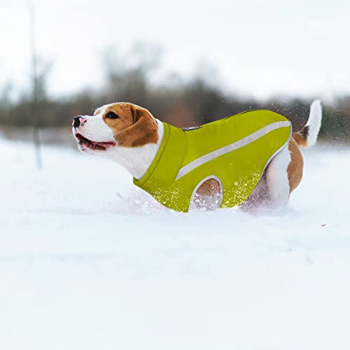 Idepet Wasserdichter Hundemantel Winter Warme Jacke, Winddichte Haustierkleidung Hundejacke Outfit für kleine mittelgroße Hunde mit Geschirrloch XL-6XL