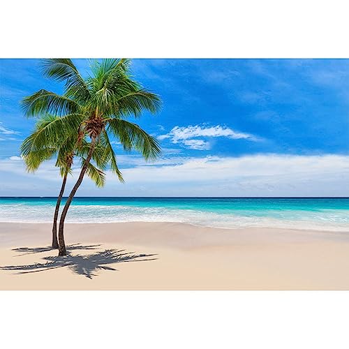 [ZS2L7] �J�[�y�b�g 3D�v�����g 40*60CM �r�[�` �L�k �J���[18 ���փ}�b�g �h�A�}�b�g �J�[�y�b�g �L�b�Y �h���}�b�g ����ɂ��� �􂦂� �C���e���A ������� �h�_�j �h�J�r �x�b�h���[�� ���r���O�p �G���g�����X ���֐� �L�b�`�� 