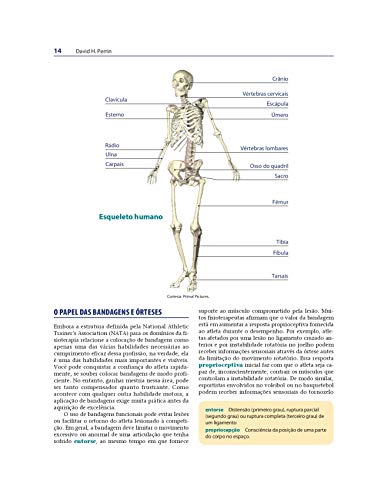 Bandagens Funcionais e Órteses Esportivas