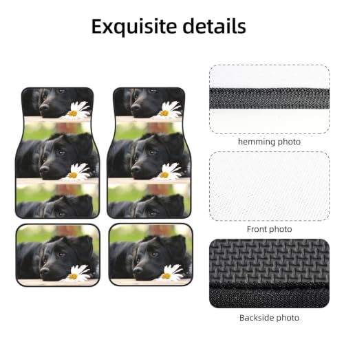 Alfombrillas de Labrador Negro para coche solución contra resbalones y suelo sucio 3