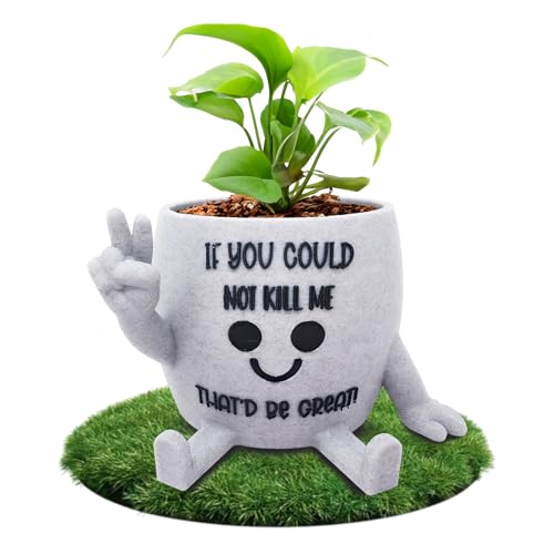 Funny Face Indoor Head Planter Pot