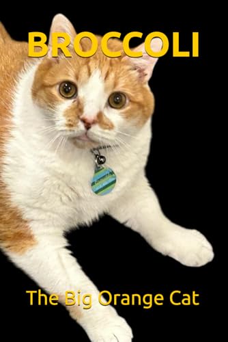 Broccoli, The Big Orange Cat