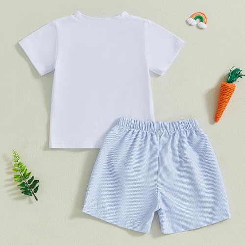Image of Toddler Baby Boy Easter Rabbit Outfit Short Sleeve Bunny Carrot Smocked T-shirt Elastic Waist Shorts Summer Clothes
