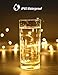 Mikasol Fairy String Lights, 1 Packs Led Fairy Lights Battery Operated Waterproof Copper Wire with Remote Control Fairy Lights for Bedroom. Firefly Lights Christmas Lights 8 Modes (16.4 ft/Warm White)