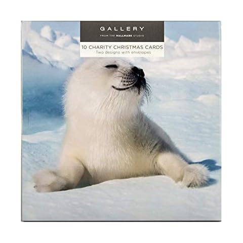 Hallmark Charity Christmas Cards, Pack of 10 Cover