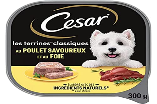 CESAR Les Classiques - Bandejas de terrina de hígado y pollo para perros adultos, 20 bandejas de 300g Cover