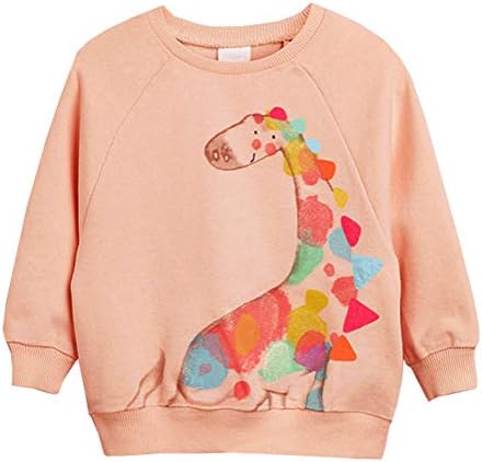 BGIRNUK Little Girls Cotton Crewneck Cartoon Long Sleeve Pullover Sweatshirts 284 3T