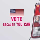 Custom Brother - Vote Because You CAN America American USA Pink Color Car Laptop Wall Bumper Decal Sticker, DesO1