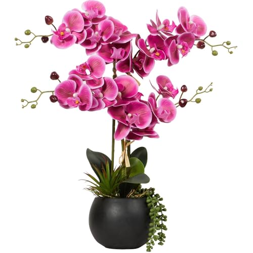 wilko Artificial Pink Orchid in Black Pot with Succulent, 47cm, Vibrant Pink Blooms, Lush Green Succulents, Ceramic Pot, Realistic Plastic Floristry, Home Decor, Gifting
