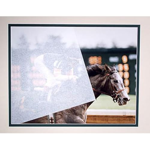 Archival Methods Archival Tissue, 16x20