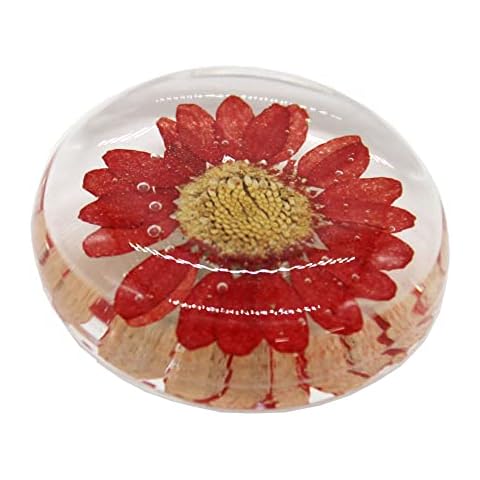 Japanese Round Magnet with Real Flower in Clear Acrylic (North Pole Red) Cover
