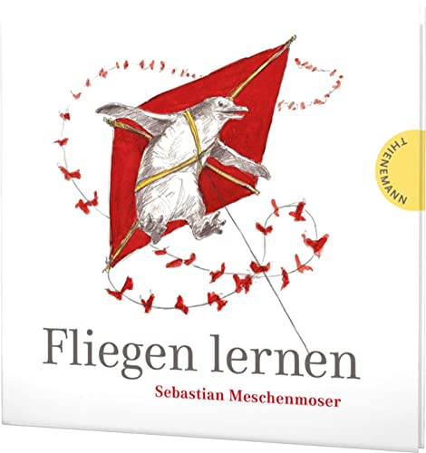 Fliegen lernen