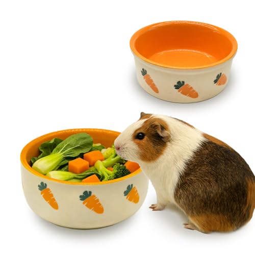 kathson 2 Pcs Hamtser Food Bowl Guinea Pig Food Bowls Ceramic Pet Bowl Small Animals Anti-Turning Water Bowls for Bunny Chinchilla Rat Hedgehog