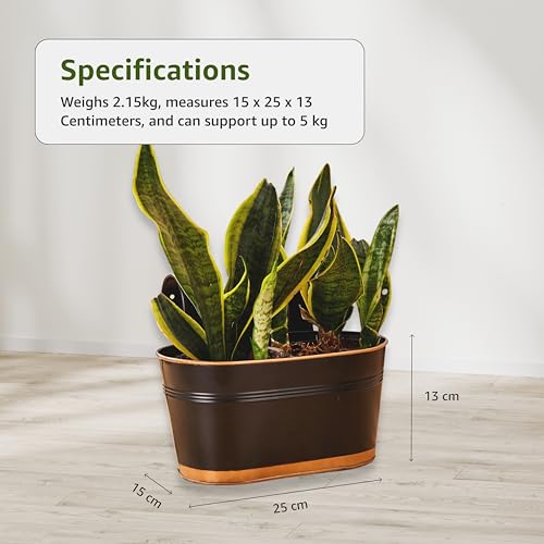Image of Amazon Brand - Solimo Hanging Metal Planters (Set of 6, Black) - Oval Pots for Balcony, 15 x 25 x 13 cm, Terrace & Indoor Railings, Holds up to 5 kg