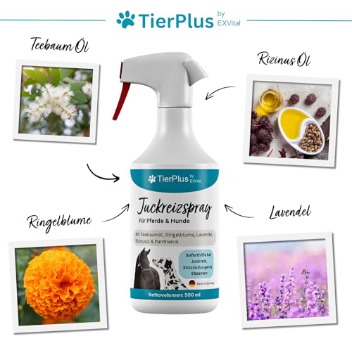 TierPlus Juckreizspray für Pferde & Hunde, 500 ml Sprühflasche, Gegen Juckreiz, Entzündungen & Ekzeme, Soforthilfe bei Allergien & trockener Haut, clevere Pflegeformel
