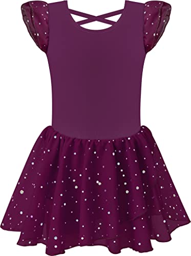 Image of MOLLDAN Girls Dance Leotards for Ballet Dress Shiny Skirt Ruffle Sleeve Crisscross Back