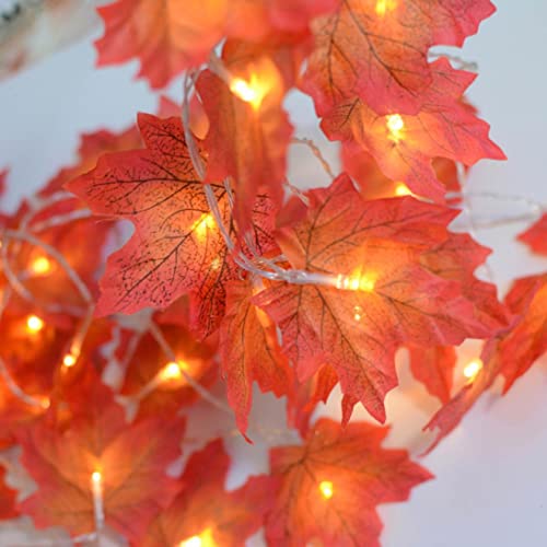 Guirnalda de otoño iluminada Decoración de Acción de Gracias, Guirnalda con pilas Hojas de arce con luces, Cadena de luces de otoño de boda Decoración para el hogar Decoraciones para interiores y ext