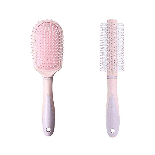 EPRHAN 2 Pcs Hair Brush Sets, Hair Brush and Comb Set Round Brush Paddle Brush Detangle Hair Brush and Combs Wet Dry Brush for Women Men Hair Styling (Pink)