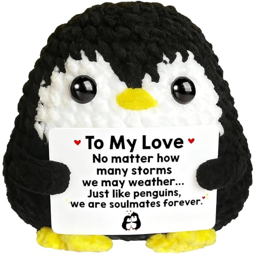 AicooFest Positive Penguin Gifts for Him Her Anniversary Valentine‘s Day Birthday Gift...