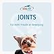 DOG FIT by PreThis® Joints Gelenkkomplex für Hunde I Glucosamin, MSM, Kollagen, Teufelskralle & Weihrauch I Ohne Zusätze I small bis 10kg