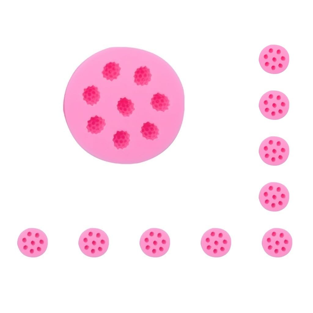 Juego de 10 moldes de silicona para chocolate, portátiles, de repuesto, con forma de fruta, para pasteles, galletas, pastelería, hogar, panadería, frambuesa