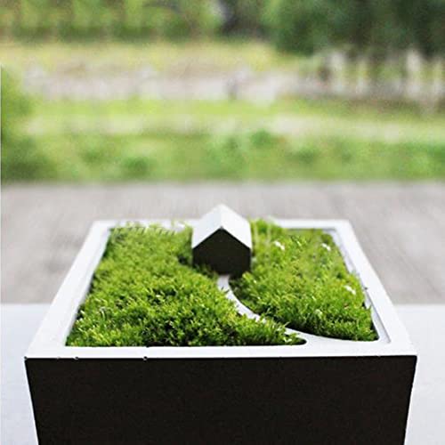Square Flower Pot Silicone Mold Concrete Succulent Planter Cement Clay Mold Plant Potted Micro Landscape Moss Bonsai Mould Desktop Ornaments #TOP3