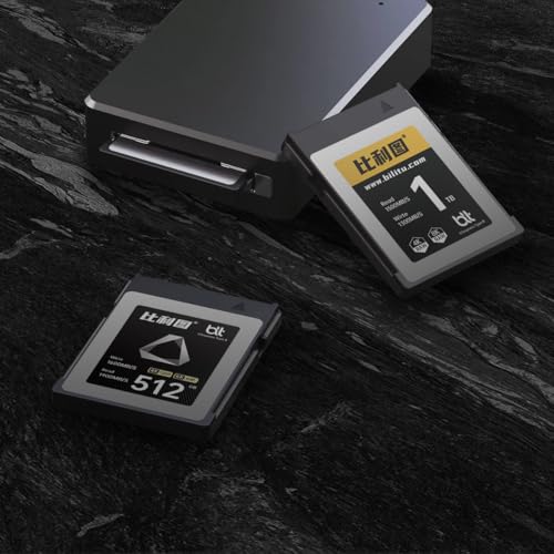 CFexpress B-Type Carte mémoire 256 Go avec vitesse de lecture jusqu'à 1700 Mo/s et vitesse d'écriture 1600 Mo/s Compatible avec les appareils photo Nikon Canon, convient pour l'enregistrement vidéo 4K