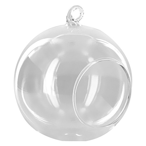 Portavelas o jarrón para flores colgante de cristal transparente, vidrio, Clear Dia.10cm Cover