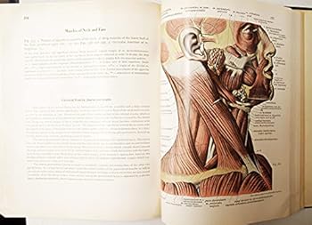 Atlas of descriptive human anatomy, Vol. I, Regions, Skeleton, Ligaments, Joints and Muscles, 7th ed.