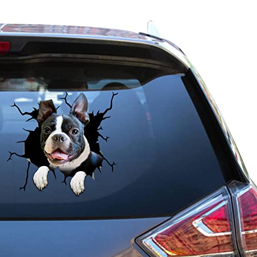 Calcomanía de Boston Terrier Peeking Boston Gifts Die Cut Outdoor Atickers para mujer, lindo adhesivo para autos