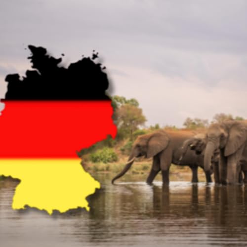 The Kruger for German Tourists: A Luxury Getaway Awaits