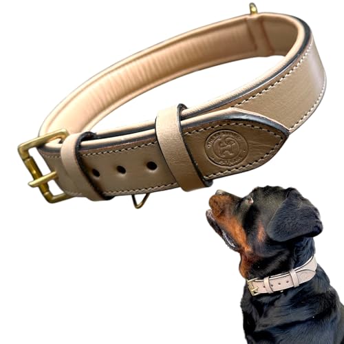 Image of High Graded Premium Leather Dog Collar- Dog Collar for Large Dogs, Dog Collar for Med, Dog Collar Belt (Grey, Size Neck - Medium (14.5-18.5 Inch))
