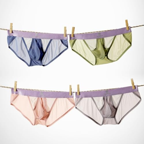 Men's Soft Panties Briefs Low Waisted Pants Underpants Briefs Bulge Pouch Mesh2