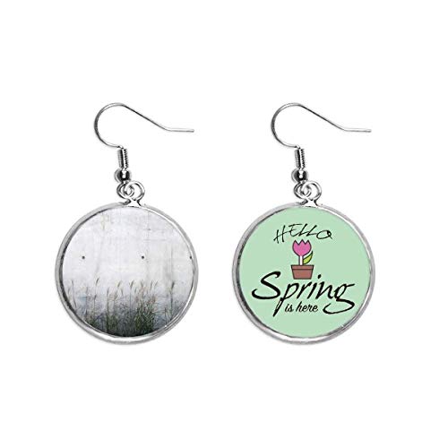 Pendientes de primavera bicolor estilo literatura con colgante decorativo